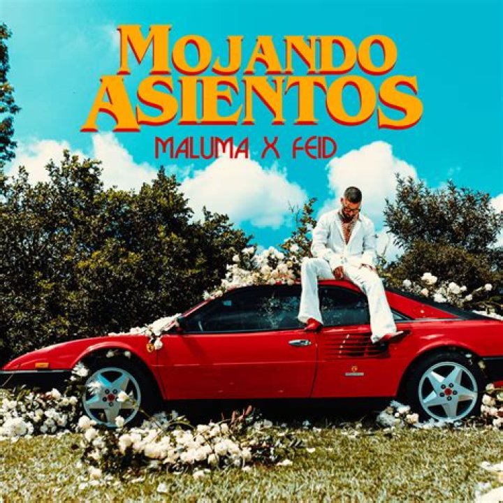 The Meaning Behind The Song: Mojando Asientos by Maluma