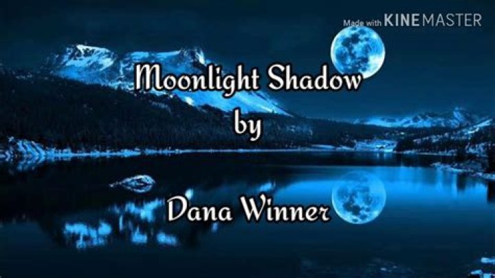 The Meaning Behind The Song: Moonlight Shadow by Dana Winner