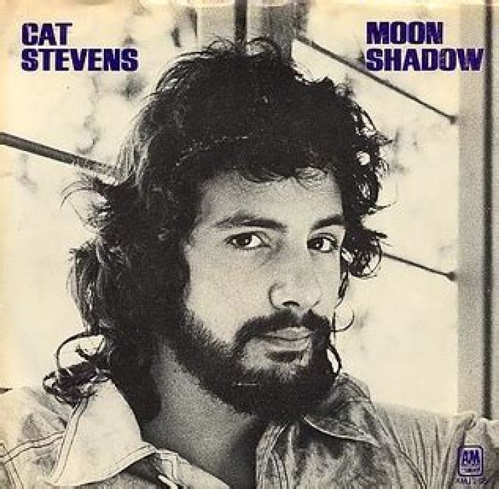 The Meaning Behind The Song: Moonshadow by Cat Stevens
