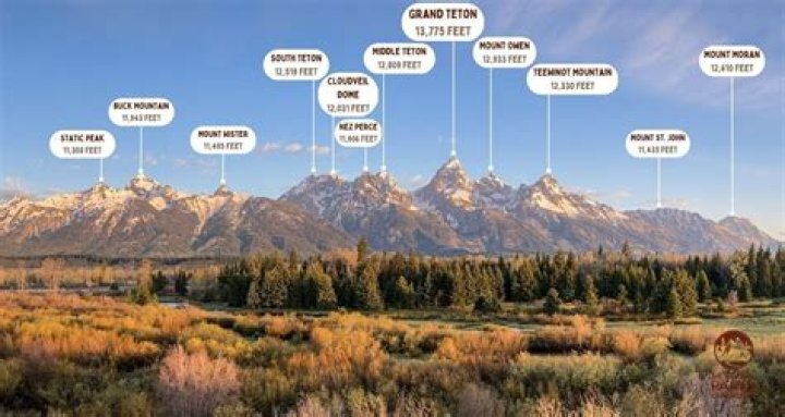 The Meaning Behind The Song: Mountain Peaks by Srvvrs