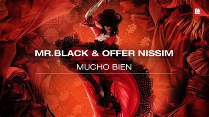 The Meaning Behind The Song: Mucho Bien by Mr. Black & Offer Nissim