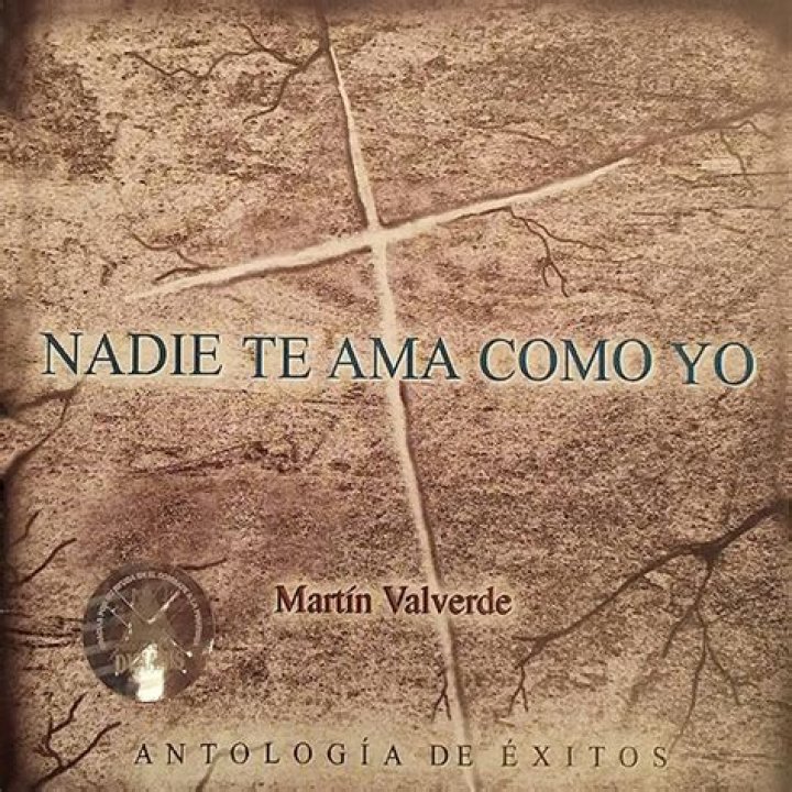 The Meaning Behind The Song: Nadie Te Ama Como Yo by Martín Valverde
