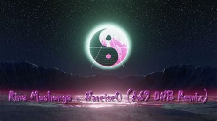 The Meaning Behind The Song: Narcisc0 by Rina Mushonga