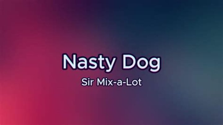 The Meaning Behind The Song: Nasty Dog by Sir Mix-a-Lot
