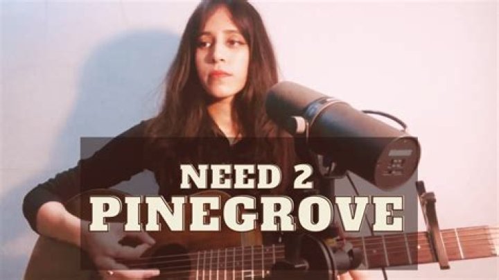 The Meaning Behind The Song: ​need 2 – pinegrove cover by Scruffpuppie