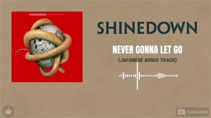 The Meaning Behind The Song: Never Gonna Let Go by Shinedown