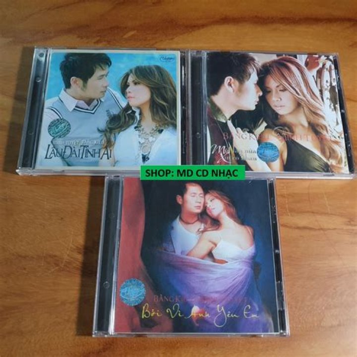 The Meaning Behind The Song: Như Đã Dấu Yêu by Minh Tuyết & Bằng Kiều