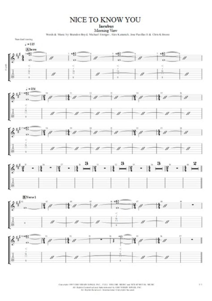 The Meaning Behind The Song: Nice to Know You by Incubus