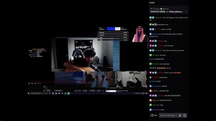 The Meaning Behind The Song: Niztopia Charity Stream by ​ericdoa