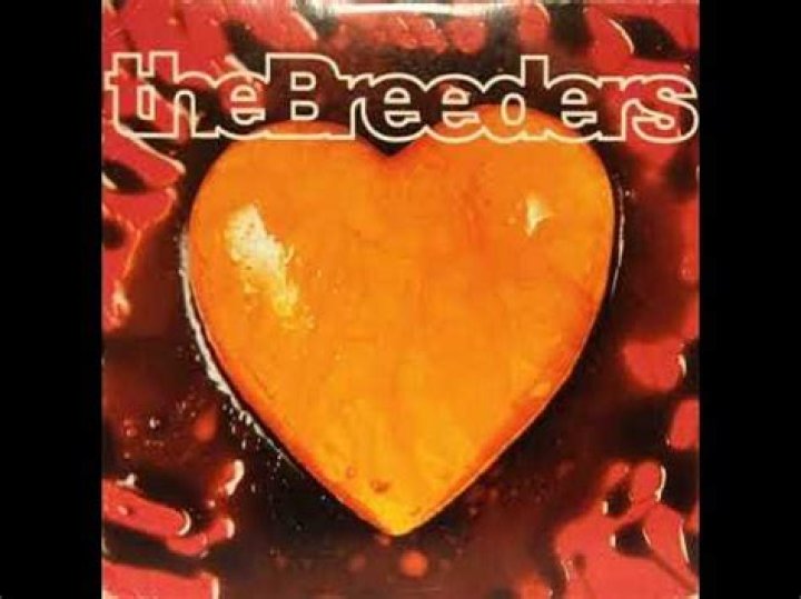 The Meaning Behind The Song: No Aloha by The Breeders