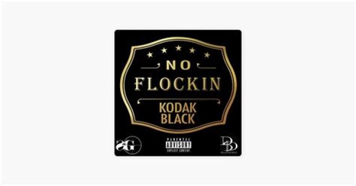 The Meaning Behind The Song: No Flockin by Kodak Black
