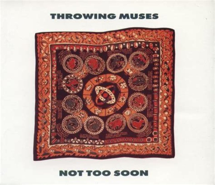 The Meaning Behind The Song: Not Too Soon by Throwing Muses