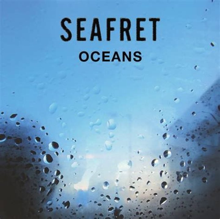 The Meaning Behind The Song: Oceans by Seafret