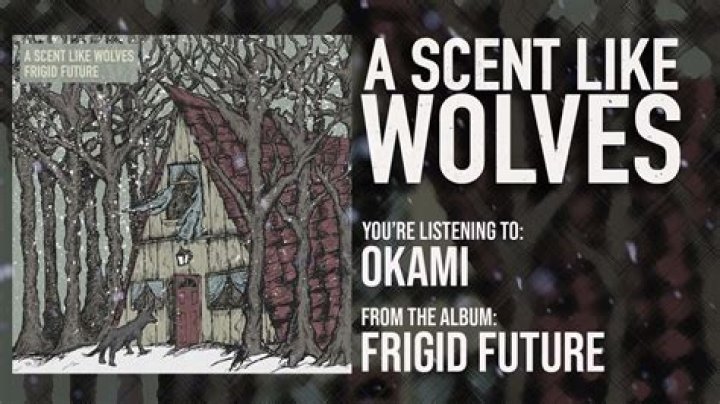 The Meaning Behind The Song: Off Your High Horse by A Scent Like Wolves