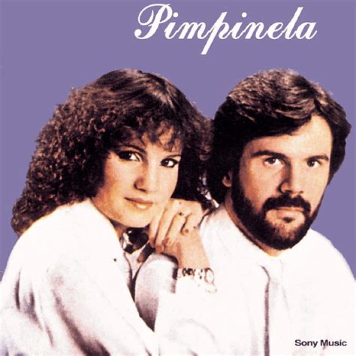 The Meaning Behind The Song: Olvidame y Pega la Vuelta by Pimpinela
