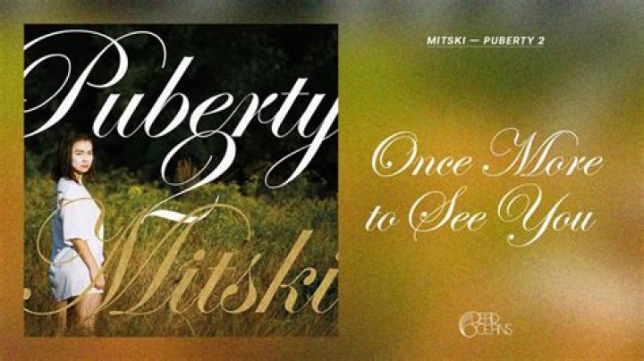 The Meaning Behind The Song: Once More to See You by Mitski