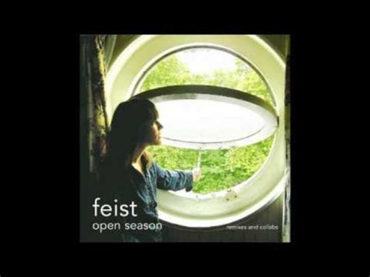 The Meaning Behind The Song: One Evening (VV mix) by Feist