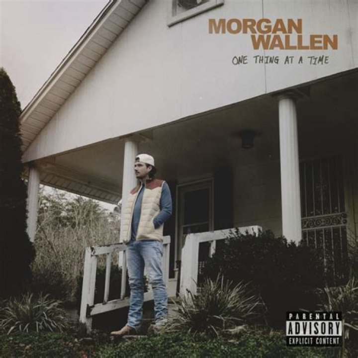 The Meaning Behind The Song: One Thing At A Time (Mixed) by Morgan Wallen