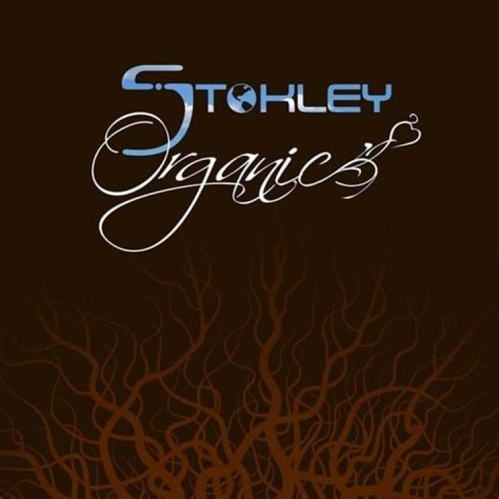 The Meaning Behind The Song: Organic by Stokley