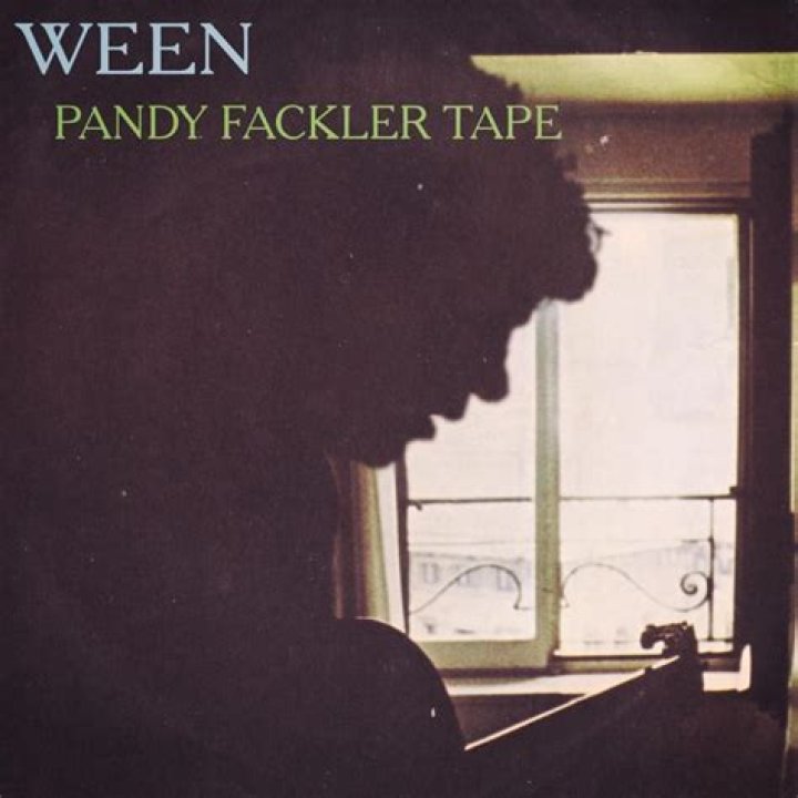 The Meaning Behind The Song: Pandy Fackler by Ween