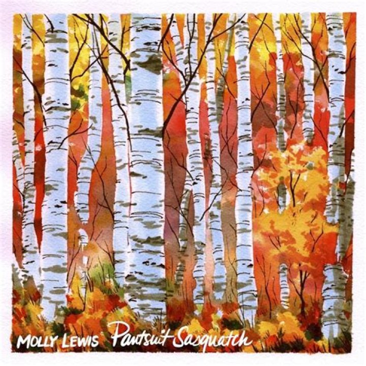 The Meaning Behind The Song: Pantsuit Sasquatch by Molly Lewis (Pop)