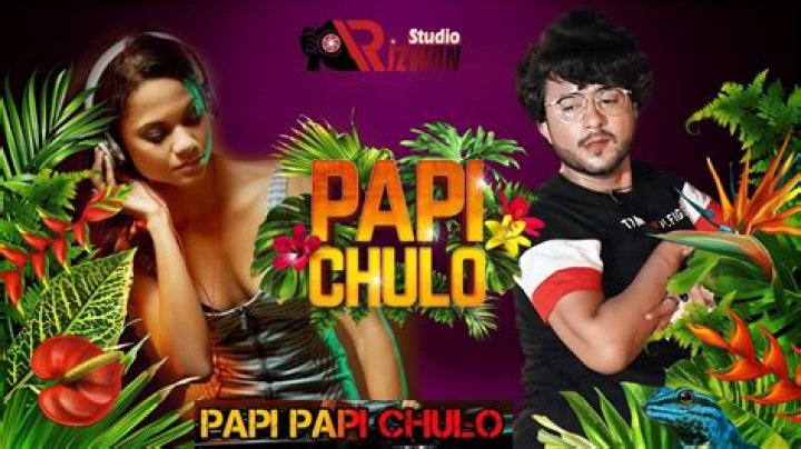 The Meaning Behind The Song: Papi Chulo… Te Traigo el MMMM by Lorna