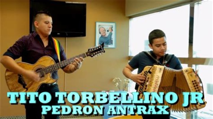 The Meaning Behind The Song: Pedron Antrax ( En Vivo ) by Tito torbellino
