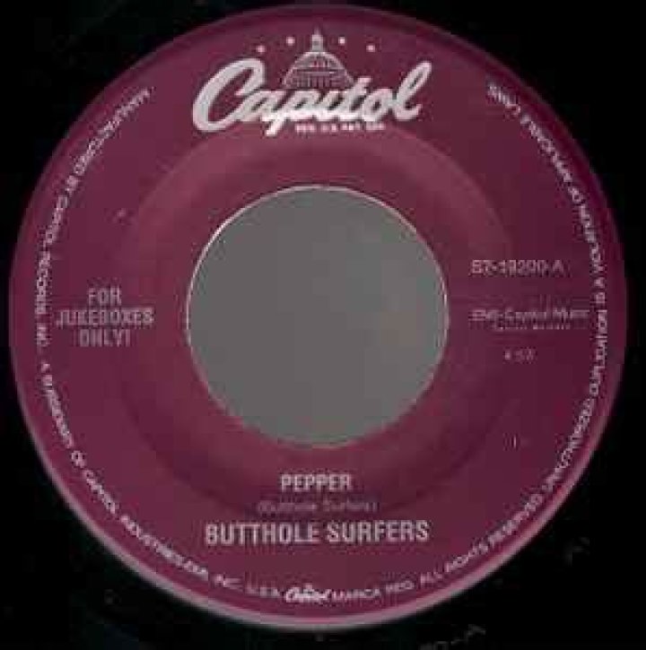 The Meaning Behind The Song: Pepper by Butthole Surfers