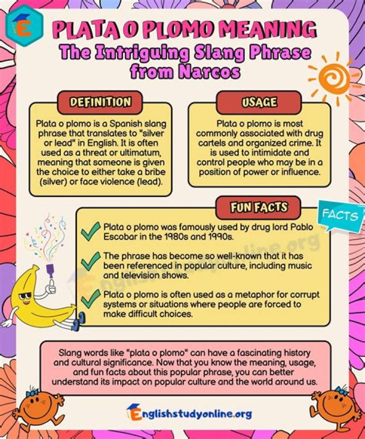 The Meaning Behind The Song: Plata O Plomo by Roc Dubloc