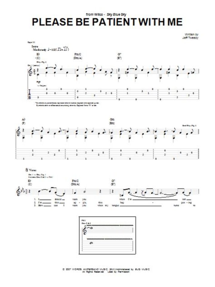 The Meaning Behind The Song: Please Be Patient with Me by Wilco