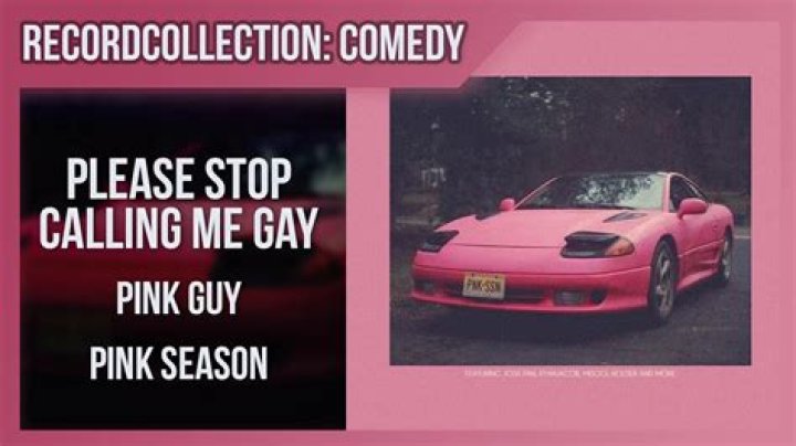 The Meaning Behind The Song: Please Stop Calling Me Gay by Pink Guy