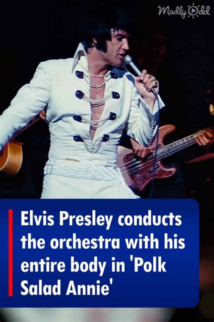 The Meaning Behind The Song: Polk Salad Annie by Elvis Presley