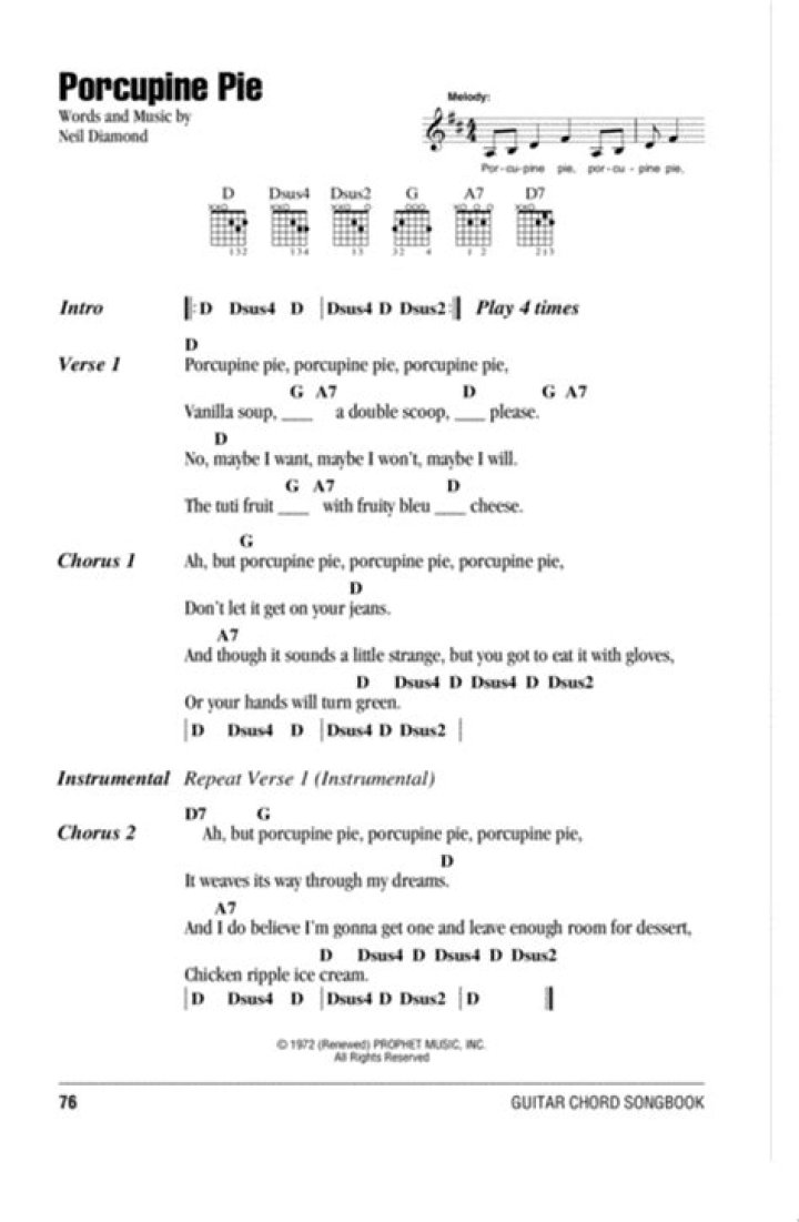 The Meaning Behind The Song: Porcupine Pie by Neil Diamond