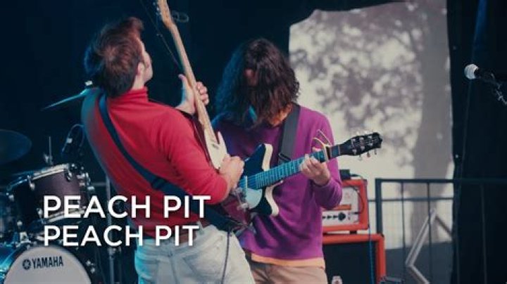 The Meaning Behind The Song: Private Presley by Peach Pit