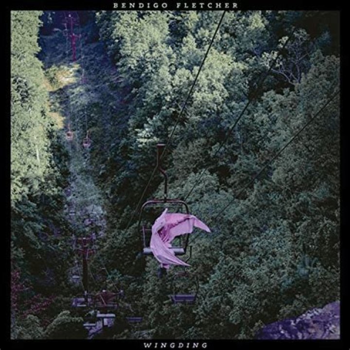 The Meaning Behind The Song: Pterodactyl by Bendigo Fletcher