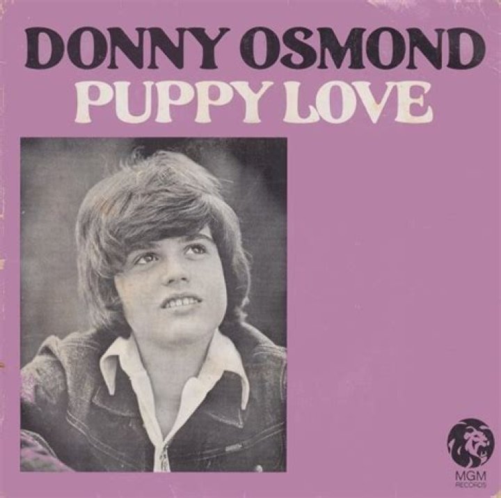The Meaning Behind The Song: Puppy Love by Donny Osmond