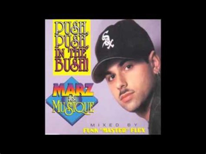 The Meaning Behind The Song: (Push – Push) In the Bush by Musique