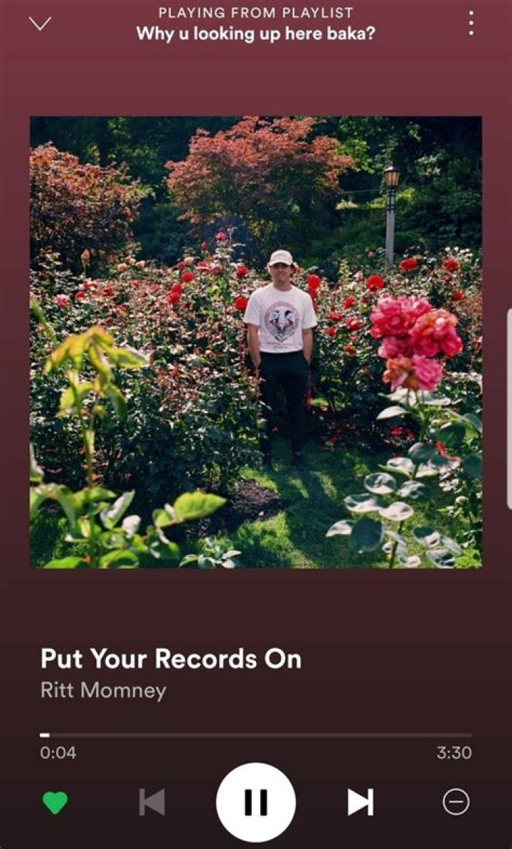 The Meaning Behind The Song: Put Your Records On by Ritt Momney