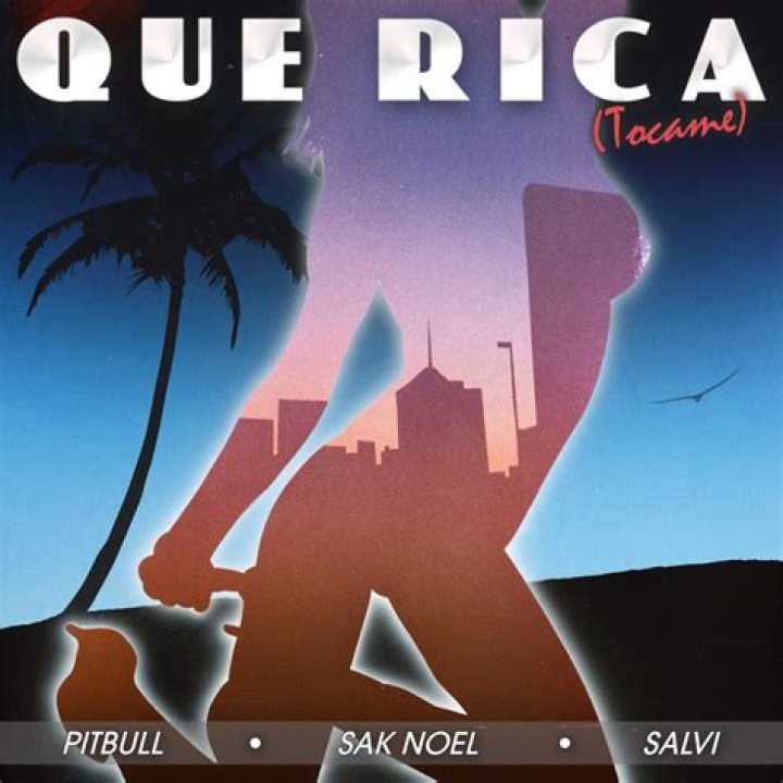 The Meaning Behind The Song: Que Rica (Tócame) by Pitbull, Sak Noel & Salvi