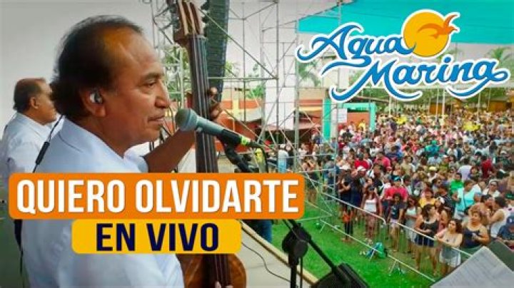 The Meaning Behind The Song: Quiero Olvidarte by Agua Marina