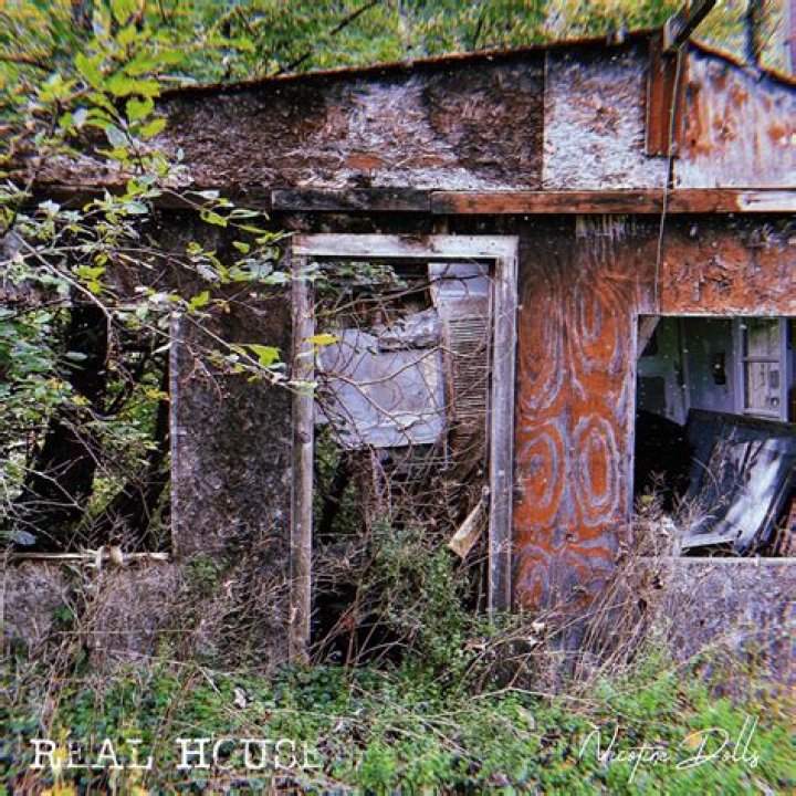 The Meaning Behind The Song: Real House by Nicotine Dolls