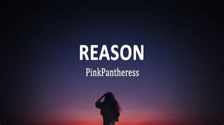 The Meaning Behind The Song: Reason by PinkPantheress