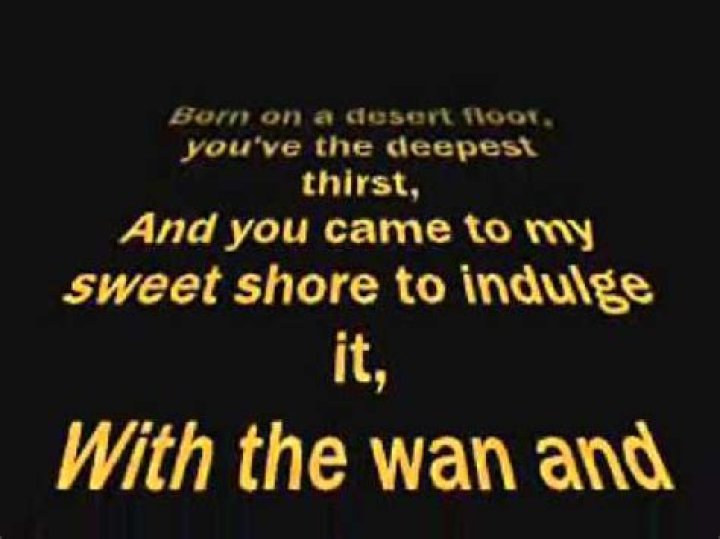 The Meaning Behind The Song: Red Rabbits by The Shins