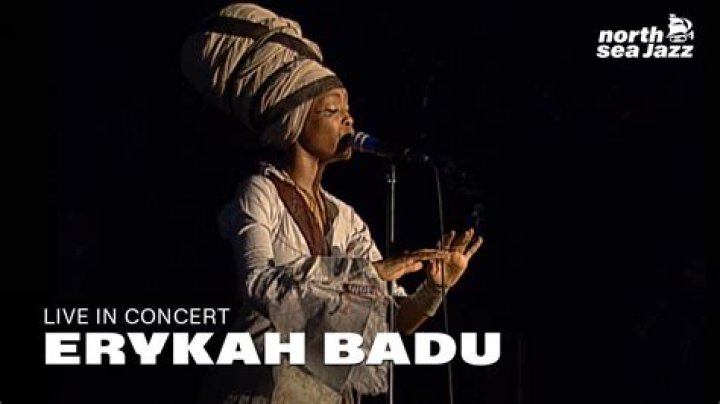 The Meaning Behind The Song: Rimshot (Intro) (Live) by Erykah Badu