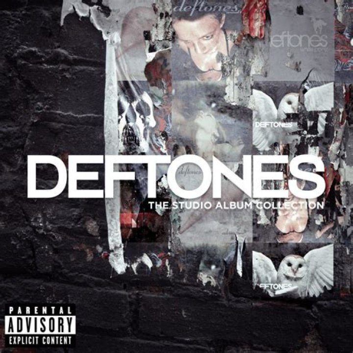 The Meaning Behind The Song: Risk (Deftones Cover) by The Liberator Project