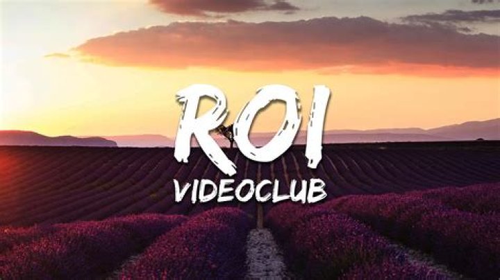 The Meaning Behind The Song: Roi by VIDEOCLUB