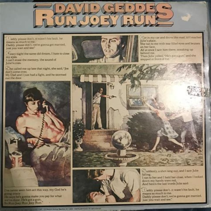The Meaning Behind The Song: Run Joey Run by David Geddes