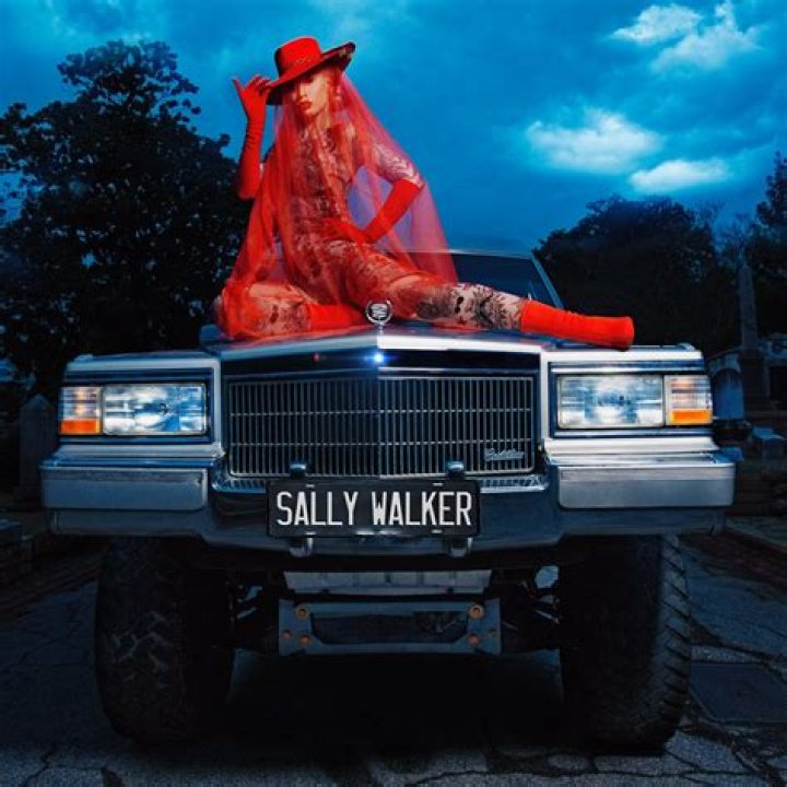 The Meaning Behind The Song: Sally Walker by Iggy Azalea