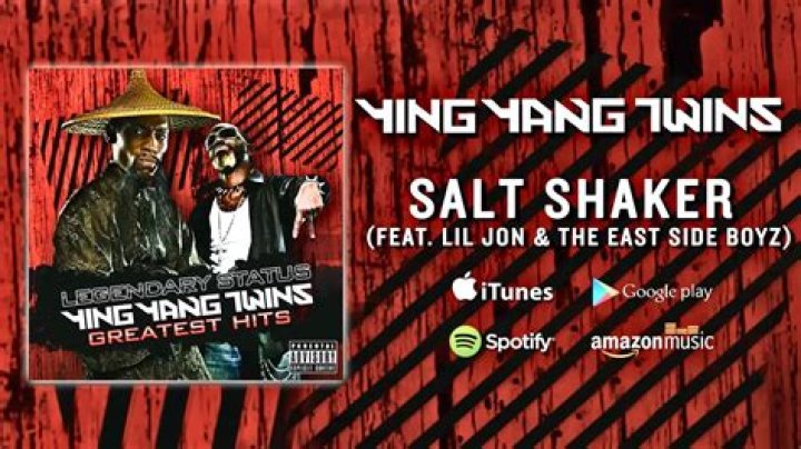 The Meaning Behind The Song: Salt Shaker by Ying Yang Twins