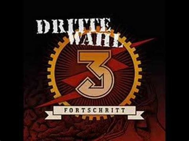 The Meaning Behind The Song: SAS Beluga by Dritte Wahl